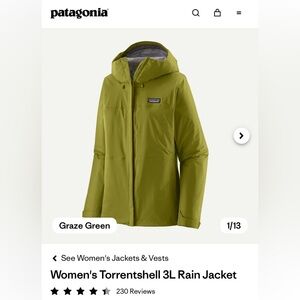 NWT Patagonia Women's Torrentshell 3L Rain Jacket